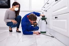 Best Residential Pest Control  in Haven, KS