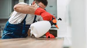 Best Pest Prevention Services  in Haven, KS